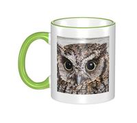GSGCSBYMLG Owl Birds Printed Mug Ceramic Mug Decorative Cup