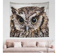 GSGCSBYMLG Owl Birds printed tapestry 60x51in wall tapestry indoor decor