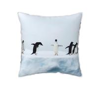GSGCSBYMLG Penguins on the Iceberg printed Velvet Throw Pillow Cover decorative cushion cover