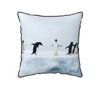 GSGCSBYMLG Penguins on the Iceberg printed Velvet Throw Pillow Cover decorative cushion cover