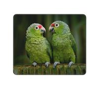 GSGCSBYMLG Two Parrots on Green Palm Tree printed The mouse pad washable mouse pad with delicate stitched edges