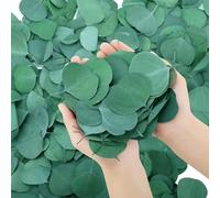 GSHLLO 200 Pcs Dried Real Eucalyptus Leaves Small Decorative Eucalyptus Leaves Wedding Table Leaves Natural Bulk Eucalyptus Leaves Baby Shower Eucalyptus Leaves for Decor