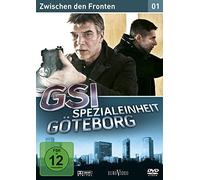 GSI - Spezialeinheit Göteborg: Vol. 01 / Zwischen den Fronten