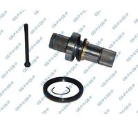 GSP 261191 Differential Stub Axle Front Fits VW California Multivan Transporter