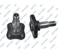 GSP Steering Knuckle 9499032 - Wheel Suspension for Dacia, Nissan, Renault Clio/Logan