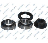 GSP GK3666 Wheel Bearing Kit for FORD