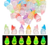 GSrenyu 30 Pcs Mini Resin Figure Gnome Tiny Resin Charms, Luminous Garden Gnome Ornament Mini Figure Toys Fairy Garden Accessories