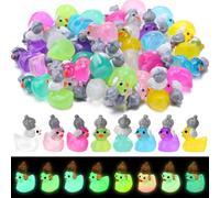 GSrenyu 40 Pcs Mini Resin Little Ducks Luminous Plastic Ducks, Mini Resin Animal Toys Figures Charms, Glow in the Dark for Aquarium Landscape Dollhouse Decor Fairy Garden