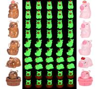 GSrenyu 60 PCS Capybara Luminous Mini Resin with Storage Box Animals Miniature Figures Glow in the Dark Tiny Animals for Capybara Aquarium Home Decoration Doll House Potted Plant Decoration