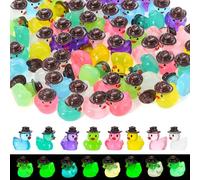 GSrenyu 64PCS Mini Resin Ducks, Miniature Novelty Luminous Resin Duck Ornaments, Tiny Ducks Wearing Hat Dress Up Figurines for Dollhouse Fairy Garden Car Parcel Stuffing