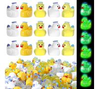 GSrenyu 80PCS Mini Resin Angel Duck 4Styles Tiny Resin Ducks Bulk Little Miniature for DIY Dollhouse Aquarium Potted Garden Micro Landscape Aquarium Potted Decor Accessories