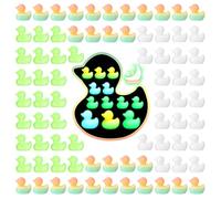 GSrenyu 80PCS Mini Resin Ducks Tiny Luminous Duck Glow in the Dark Tiny Resin Animals Miniature Realistic Shape for Aquarium DIY Craft Fair Garden Micro Landscape Hide & S ame Favor Party Decor