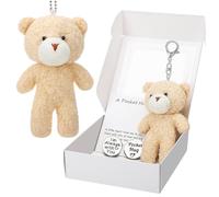 GSrenyu Worry Bear Hug in a Box, A Little Pocket Bear Hug, Mini Worry Bears with Inspirational Card, Pocket Hug Token and Key Chain, Positive Gift for Kids, Friends