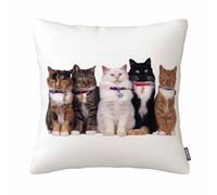 GSRONY Cats Throw Pillow Covers Cute Cat Animal Cushion Pillow Case Home Decor Pillowcase 18x18 Inches