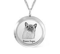 GSTFY Personalised Pet Fur Necklace Stainless Steel Custom Engraved Pet Ashes Photo Locket Urn Pendant Necklace with Photo & Name Pet Keepsakes Memorial Lockets Gift for Pet Lover Lost Gift