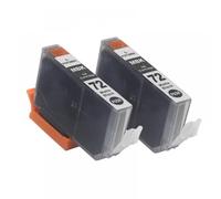 GSwReJ 72 PGI 72 PGI-72 PGI72 10Color Ink Cartridge Set Compatible With Pro 10 Pro-10 PRO-10S 10S Printers Alternative To Inkjet Printer Supplies(2PCS Matte Black)