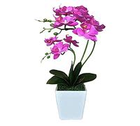GSZCCZS 15" Artificial Phalaenopsis w/Porcelain Vase Indoor Silk Orchid Fake Plants in Pot Faux Flowers Arrangements for Living Room Table Centerpieces Home Decor