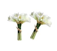 GSZCCZS Exotic Dried Flower Bouquet 2Bunches Artificial Orchid Bouquet, Fake Flower Bundle for Wedding Table Living Room Party DIY Porch Decoration, Bedroom Decoration, Dining Table(White)