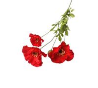 GSZCCZS Exotic Dried Flower Bouquet 5 PCS Artificial Red Poppy, Red Flowers Bouquet for Home Kitchen Wedding Decorations