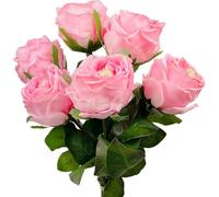 GSZCCZS Exotic Dried Flower Bouquet 6Pcs Artificial Beautiful Flowers, Long Stem Handmade Flowers for Home Table Centerpiece Wedding(Red)