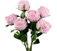 GSZCCZS Exotic Dried Flower Bouquet 6Pcs Artificial Beautiful Flowers, Long Stem Handmade Flowers for Home Table Centerpiece Wedding(Red)