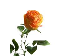 GSZCCZS Exotic Dried Flower Bouquet Gorgeous Dried Rose Stem with Bud, 5 Pcs Branch Artificial Bouquet, Ideal for Wedding Parties, Home Floral Decoration Arrangement (NO VASE)(White)