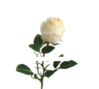 GSZCCZS Exotic Dried Flower Bouquet Gorgeous Dried Rose Stem with Bud, 5 Pcs Branch Artificial Bouquet, Ideal for Wedding Parties, Home Floral Decoration Arrangement (NO VASE)(White)
