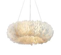 GSZCCZS Modern Led Chandelier Lamp,Bedroom Hanging Ceiling Light Fixture Feather,Pendant Lighting Kitchen Island Dining Room Commemoration Day vision