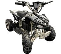 GT e-racing 1200W Junior Electric Quad Bike | 36V 20Ah Off-Road ATV | 25mph Max | 3-Speed Parental Governor | Hydraulic Brakes & All-Terrain Tires (Titanium Glacier)