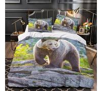 GTDKSUEVG 3D Design Printed 3 Pieces Bedding Set Bed Decor Hidden Zipper Super Wild Bear Walking Comforter Cover Washable Anti-allergic for Teens,Boys,Women Quilt Cover Double（200x200cm）