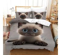 GTDKSUEVG Cat 3D Printed Duvet Cover Set 3 Pieces Bedding Set Soft Microfiber with Zipper Closure，Pillowcases for Teens And Adults Double（200x200cm）