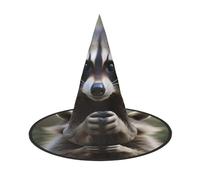 GTGHYLHA Cute Raccoon Full Screen Printed Oxford Fabric Soft And Comfortable Unisex Carnival Halloween Party Witch Hat