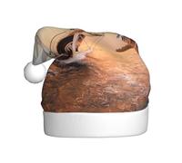 GTGHYLHA White Sailing Ship At Sunset Full Screen Printed Polyester Fabric, Suitable For Both Men And Women, Adult Plush Christmas Hats, Holiday Parties, Halloween Hats