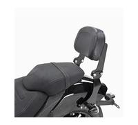 GTGJFJKW For Benda For Black Flag 500 Motorcycle Rear Backrest Tail Rack Tail Rack Rear Wing Curved Backrest Accessories(01)