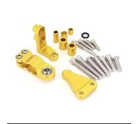 GTGJFJKW Motorcycle Directional Damper Shock Absorber Stabilizer Steering Dampers For A&prilia RS660 RS 660 Rs660 2021 2022 2023 Accessories(Gold bracket)