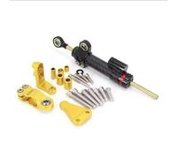GTGJFJKW Motorcycle Directional Damper Shock Absorber Stabilizer Steering Dampers For A&prilia RS660 RS 660 Rs660 2021 2022 2023 Accessories(Set 11)