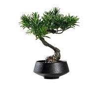 GTHTUHFD Artifical Tree Chinese Artificial Bonsai Tree Simulation Welcome Pine Green Plant Small Bonsai Ornaments Coffee Table Study Wine Cabinet Plant Bonsai Artificial Tree Indo