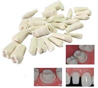GTHTUHFD Dental Teeth Study Teaching Model - 28 Dental Education Models Simulated Teeth Model - Simulation Oral Tooth Dentist Exam Practice Tooth - for Demonstration Edu