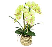 GTHTUHFD Simulation Flower Artificial Bonsai Silk Orchids Phalaenopsis With Golden Vase Fake Orchid Flowers Arrangement Romantic Dried Flower Decoration,Green
