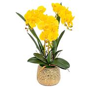 GTHTUHFD Simulation Flower Artificial Bonsai Silk Orchids Phalaenopsis With Golden Vase Fake Orchid Flowers Arrangement Romantic Dried Flower Decoration,Yellow