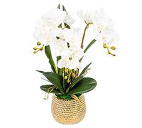 GTHTUHFD Simulation Flower Artificial Bonsai Silk Orchids Phalaenopsis With Golden Vase Fake Orchid Flowers Arrangement Romantic Dried Flower Decoration,White