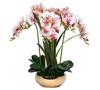 GTHTUHFD Simulation Flower Artificial Orchid Fake Flowers Phalaenopsis 8 Head Orchids Faux Flowers With Golden Vase Decor Exquisite Flower Arrangement,Purple