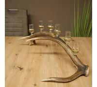 GTK - Geweihe & Trophäen KRUMHOLZ Schnapps Provider 27.60.2.61 6 x Small Glasses with Stem on Red Stag Bar Gift