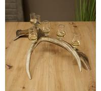 GTK - Geweihe & Trophäen KRUMHOLZ Schnapps Provider 27.60.2.62 6 x Small Glasses with Stem on Red Stag Bar Gift