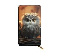 GTKSYNVE cute Owl Leather Wallets for Women Men, RFID Blocking Large Capacity Credit Card Holder with Zipper Ladies Phone Clutch Handbag Travel Purse Gifts for Birthday
