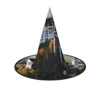 GTKSYNVE Germany Neuschwanstein Castle Halloween Decorations Witch Hat 1, Wizard Hat for Party Costume Accessory Dress up Hats