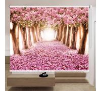 GTPBAO Pink Privacy Window Blind With Fixing Material, Thermal Insulated Roller Shades For Living Room Nursery Kitchen, Japanese-Style (Size : 115x150cm/45.3x59in)