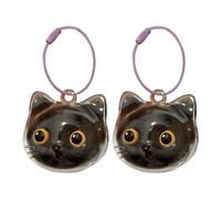 GTYLF Pet Memorial Pendant for Kitten Cats Head Shape Hair Storage Box Clear Keepsakes Jewelry Charm Gift Cats Furs Display Case