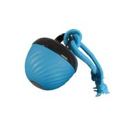 Guaber Automatic Rolling Dog Toy With Random Bouncing Motion For Indoor/Outdoor Chewing & Chasing Fun Entertaining Pet Exercise Ball
