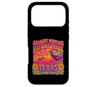GUADALUPE MOUNTAINS NATIONAL PARK 70s STYLE Case for iPhone 17 Pro